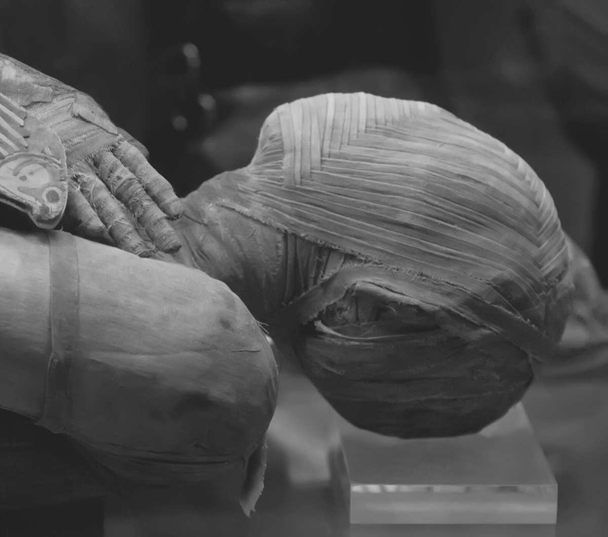 Три самые знаменитые мумии