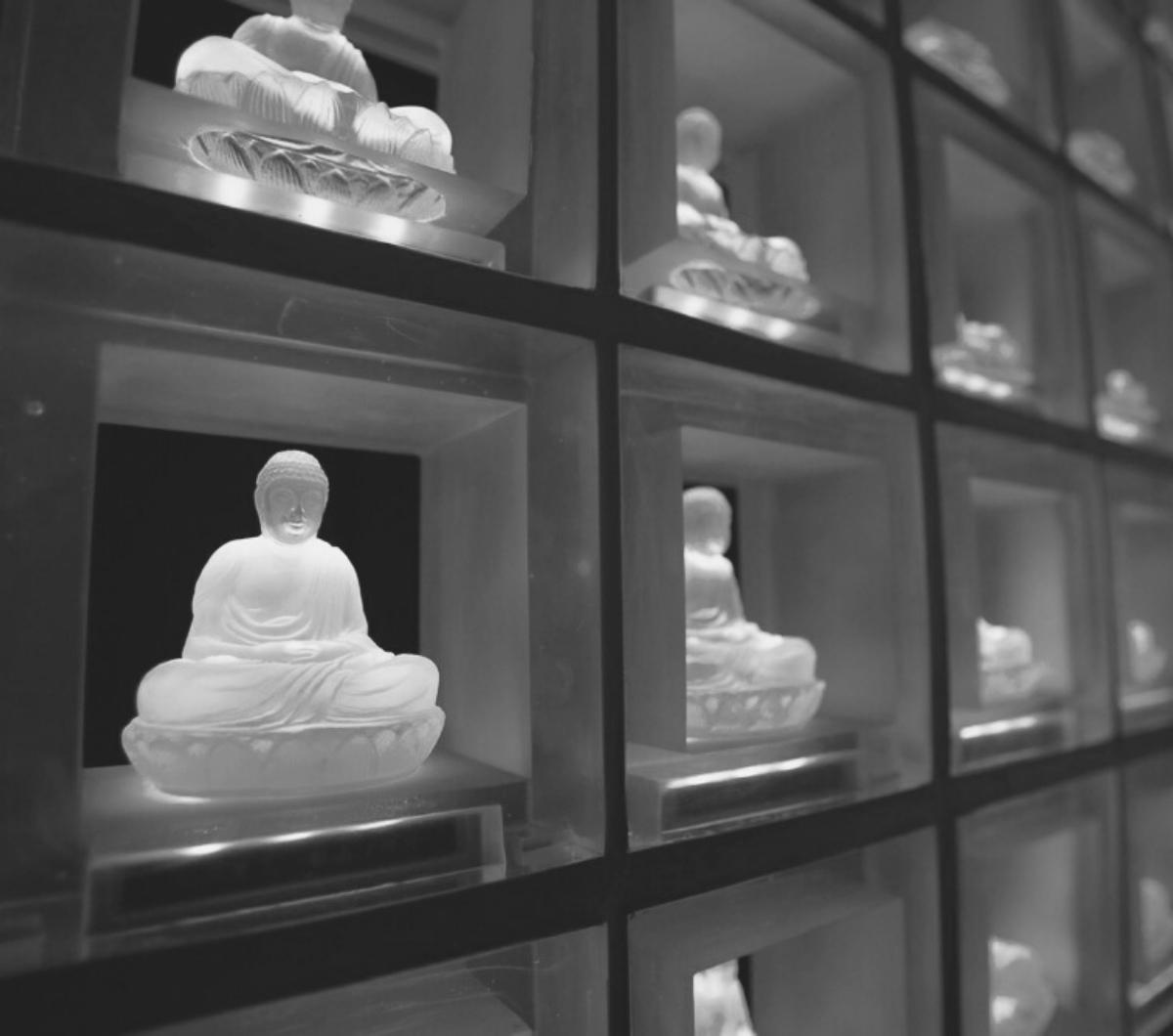 Как выглядят кладбища будущего